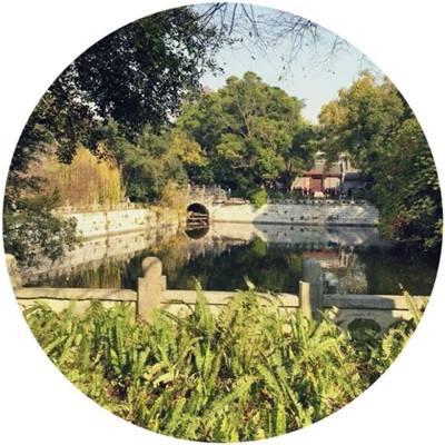 巨龙法则果盘手游下载