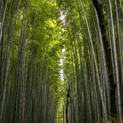 大家谈·一起来想一起来干｜坚持不懈推进文化自信自强