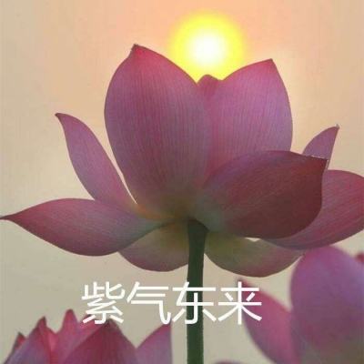 史上最坑爹的游戏九最新版下载