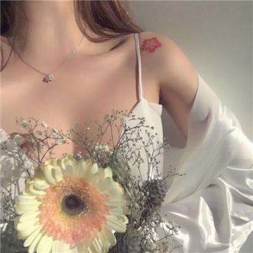 量子特攻日服下载